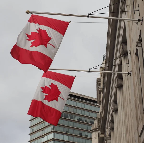 Canadian National Flag Canada America —  Fotos de Stock