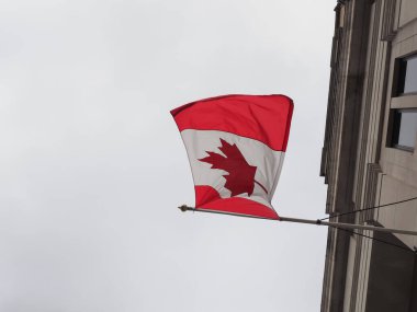 the Canadian national flag of Canada, America