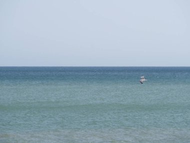 Mavi deniz ve gökyüzü doğal bir arkaplan olarak kullanışlıdır