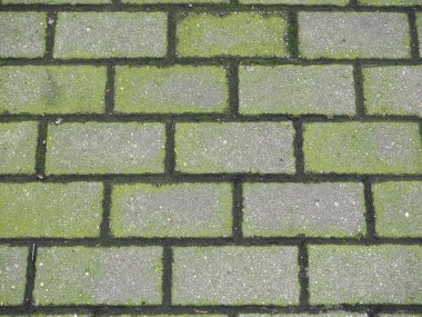 Yosunlu beton döşeme dokusu arka plan olarak kullanışlı