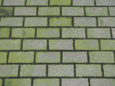 Yosunlu beton döşeme dokusu arka plan olarak kullanışlı