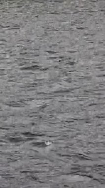 deniz suyu dalgaları dikey arkaplan olarak kullanışlıdır