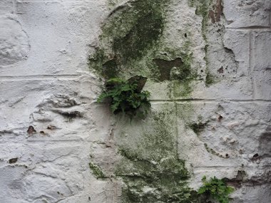 Yıpranmış taş duvar arka plan olarak kullanışlı