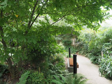 Londra, İngiltere 'deki Canary Wharf' ın çatı bahçesi.