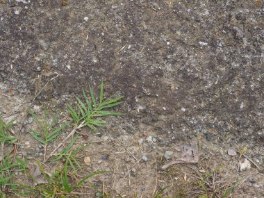 Sanayi tipi gri beton dokusu arka plan olarak kullanışlı