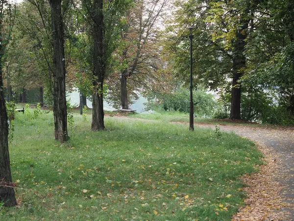 Nehir kenarındaki park doğal arka plan