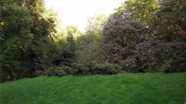 Yeşillik doğal bir arkaplan olarak kullanışlıdır