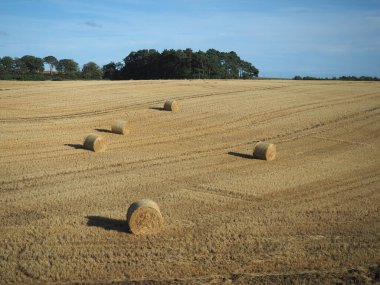 Scottish Lowlands panorama between Dundee and Aberdeen clipart