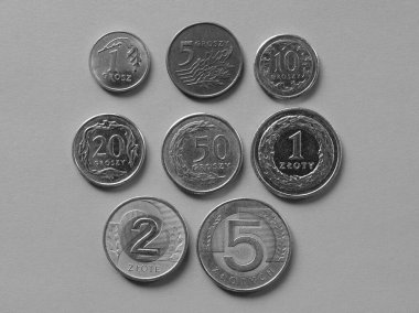 Polonya Zlotisi para (PLN), Polonya para birimi siyah beyaz