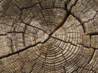 Sanayi tarzı eski kahverengi gri ahşap dokusu arka plan olarak kullanışlı