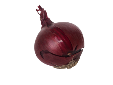 Kırmızı soğanlar (bilimsel adı Allium cepa namı diğer soğan soğanı) vejetaryen yiyecekler