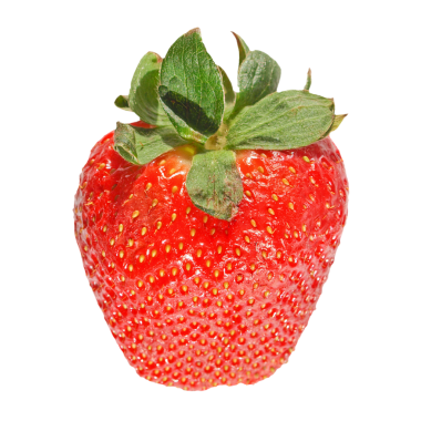 Çilek meyvesi şeffaf arkaplan PNG üzerinde izole