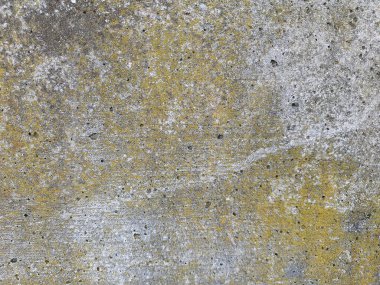 arkaplan olarak kullanışlı gri beton doku