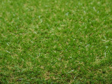 industrial style Green artificial synthetic grass lawn meadow useful as a background