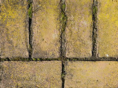 sarı tuğla duvar arka plan olarak kullanışlı