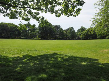 şehir parkı kopyalama alanı olan kullanışlı bir arkaplan