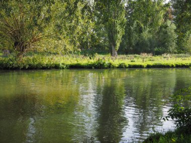 Cambridge, İngiltere 'deki River Cam manzarası.