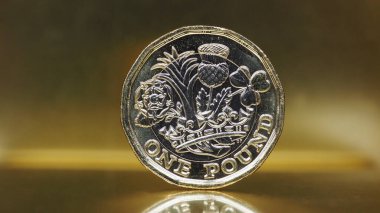 1 pound madeni para (GBP), altın fon üzerinde Birleşik Krallık para birimi