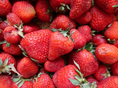 kırmızı çilek arka plan olarak kullanışlı