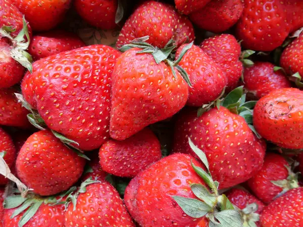 kırmızı çilek arka plan olarak kullanışlı