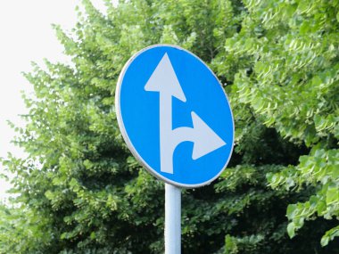 Düzenleyici işaretler, ok trafik işaretleriyle belirtilen yönde ilerleyin