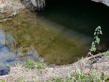 Bir köprünün altındaki hendekte su