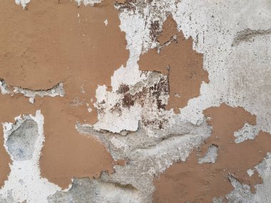 Duvardaki nem ve rutubetten kaynaklanan hasar