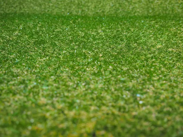 Sanayi stili Yeşil yapay çimen dokusu arka plan olarak kullanışlı