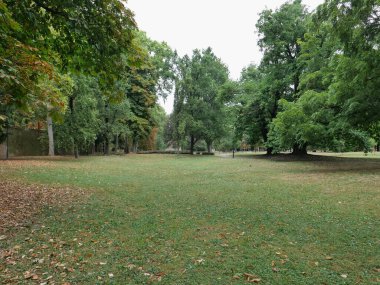 Arkaplan olarak kullanışlı olan park