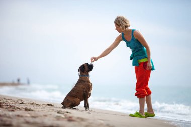 Genç bir kadın boksör köpeğine emir veriyor. Köpek onu dinler ve itaat eder..
