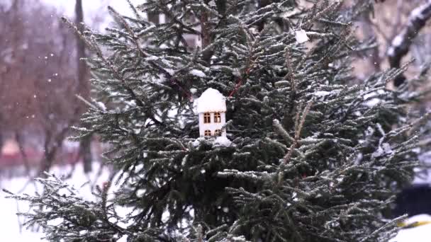 Bird Feeder Hanging Tree Red Birdhouse Sparrow Winter Snow — Stock videók