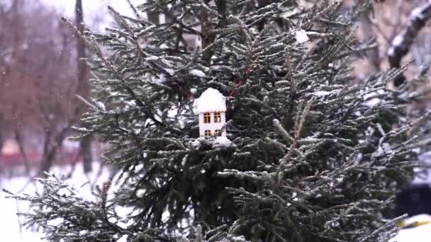 Bird Feeder Hanging Tree Red Birdhouse Sparrow Winter Snow — ストック動画