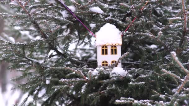 Bird Feeder Hanging Tree Red Birdhouse Sparrow Winter Snow — Vídeo de Stock