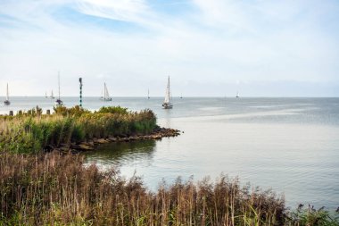 Yelkenli yatlar ve balıkçı tekneleri limana demirlemiş. Hollanda.