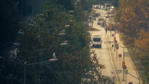 Kota Jalan Dengan Banyak Tidak Berhenti Tanda Tanda Jalan — Stok Video