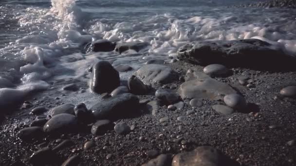 Onda Marea Copre Ciottoli Sulla Spiaggia — Video Stock
