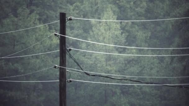 旧的电线杆和电线 — 图库视频影像