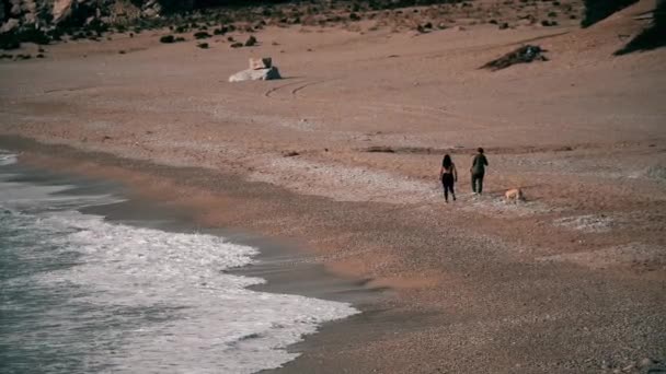 Mulheres Cães Caminham Pela Praia — Vídeo de Stock