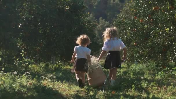 小妹妹们把白花放在篮子里 — 图库视频影像