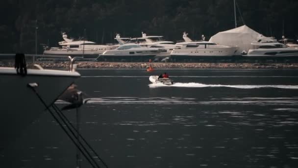 Okända Människor Flyttar Motorbåt — Stockvideo