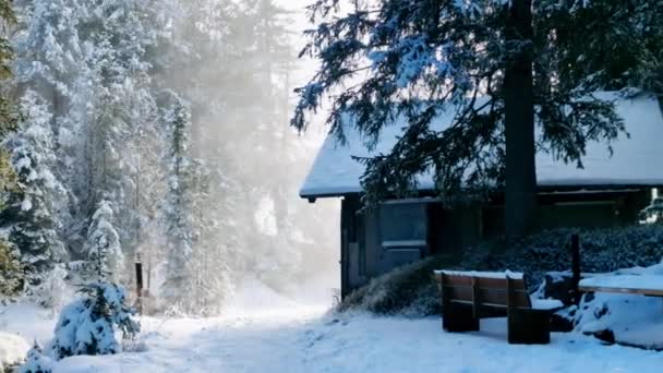 Beautiful Snowy Swiss Alpine Scenery Video Clip