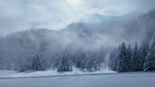 Заснеженный Горный Лес Движущееся Облако — стоковое видео