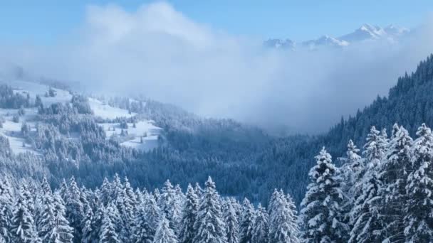 Sviçre Alpleri Kıvrımlı Sis Bulutlar — Stok video