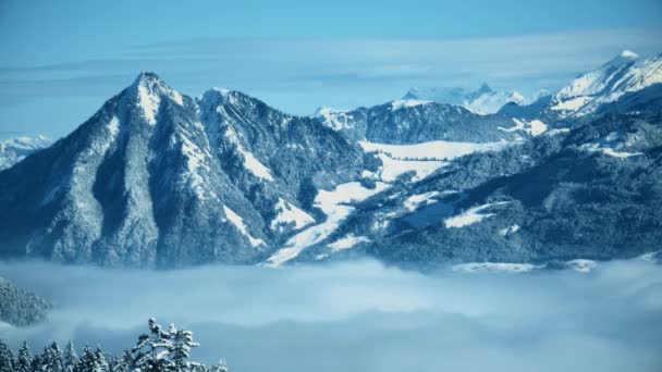 Швейцарські Альпи Долина Хмарами — стокове відео