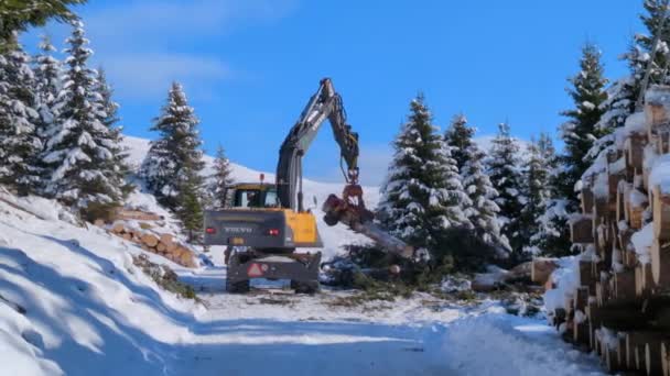 Glaubenberg Suíça Dezembro 2022 Escavadeira Com Equipamento Florestal — Vídeo de Stock