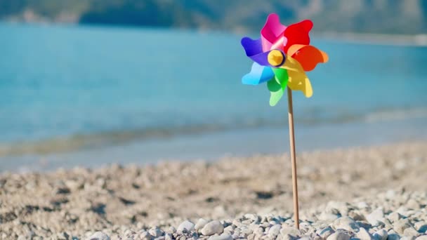 海滩上的玩具彩虹风车 — 图库视频影像