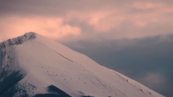 Pentes Enneigées Des Alpes — Video