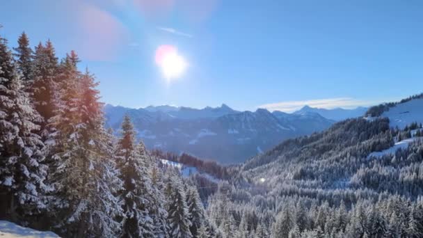 Alpes Suizos Nieve Día Soleado — Vídeo de stock
