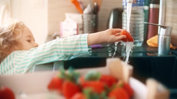 Klein Meisje Wast Verse Aardbeien — Stockvideo