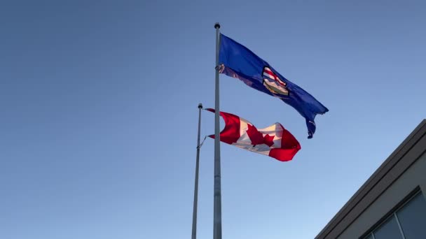 Canadian National Alberta Provincial Flags — Vídeo de Stock